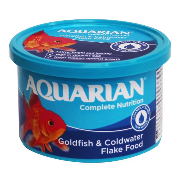 Food Goldfish