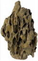 Fossil Pine Bark Large 20cm       87862