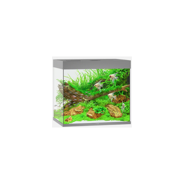 Juwel Lido 120 LED Aquarium & Cabinet – Grey